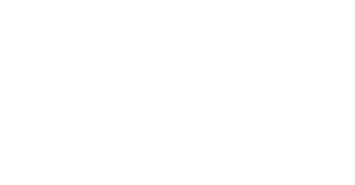 Dellapip